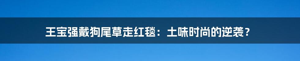 王宝强戴狗尾草走红毯：土味时尚的逆袭？