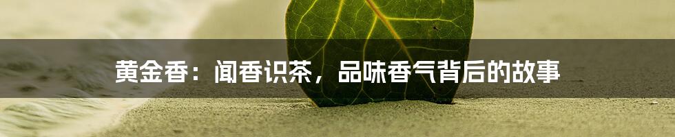 黄金香：闻香识茶，品味香气背后的故事