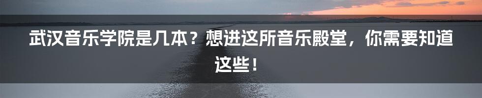 武汉音乐学院是几本？想进这所音乐殿堂，你需要知道这些！