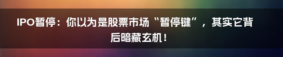 IPO暂停：你以为是股票市场“暂停键”，其实它背后暗藏玄机！