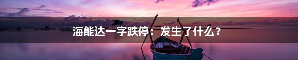 海能达一字跌停：发生了什么？