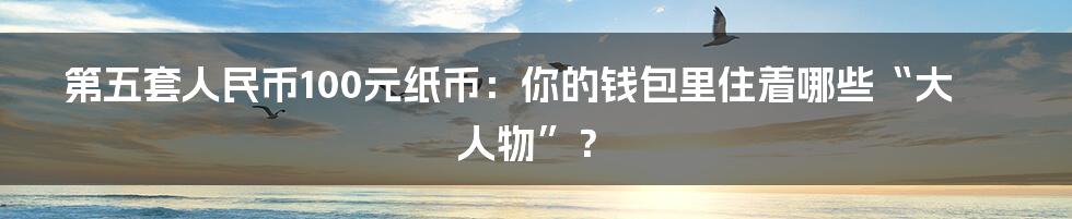 第五套人民币100元纸币：你的钱包里住着哪些“大人物”？