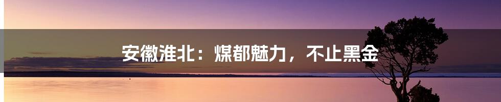 安徽淮北：煤都魅力，不止黑金