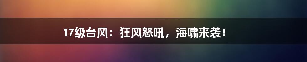 17级台风：狂风怒吼，海啸来袭！