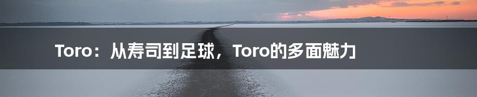 Toro：从寿司到足球，Toro的多面魅力