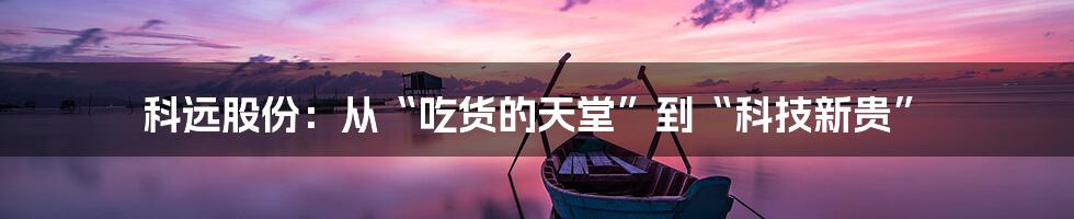 科远股份：从“吃货的天堂”到“科技新贵”