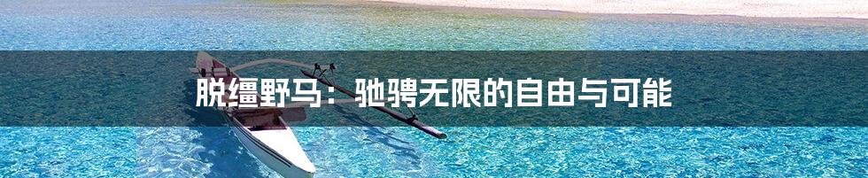 脱缰野马：驰骋无限的自由与可能