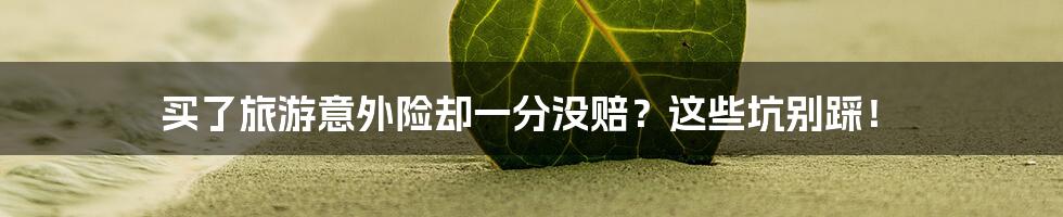 买了旅游意外险却一分没赔？这些坑别踩！