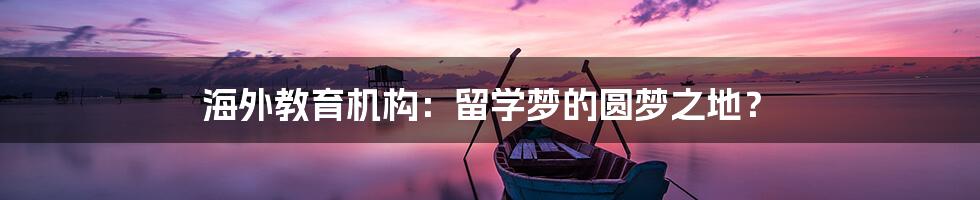 海外教育机构：留学梦的圆梦之地？