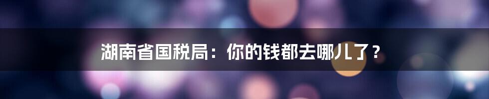 湖南省国税局：你的钱都去哪儿了？