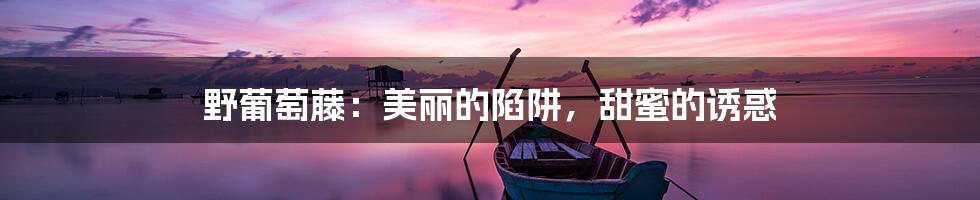 野葡萄藤：美丽的陷阱，甜蜜的诱惑