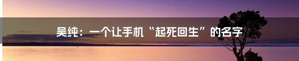 吴纯：一个让手机“起死回生”的名字