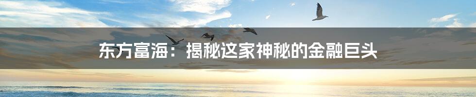 东方富海：揭秘这家神秘的金融巨头