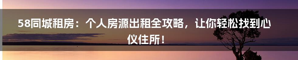 58同城租房：个人房源出租全攻略，让你轻松找到心仪住所！