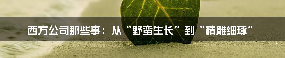 西方公司那些事：从“野蛮生长”到“精雕细琢”