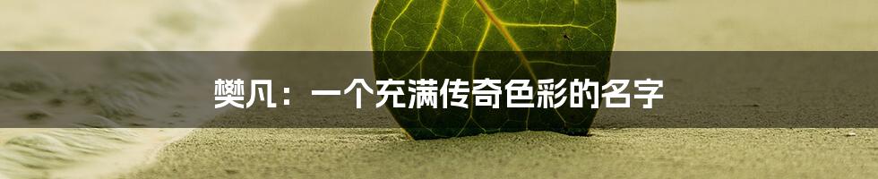 樊凡：一个充满传奇色彩的名字