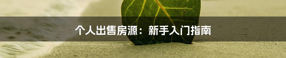 个人出售房源：新手入门指南