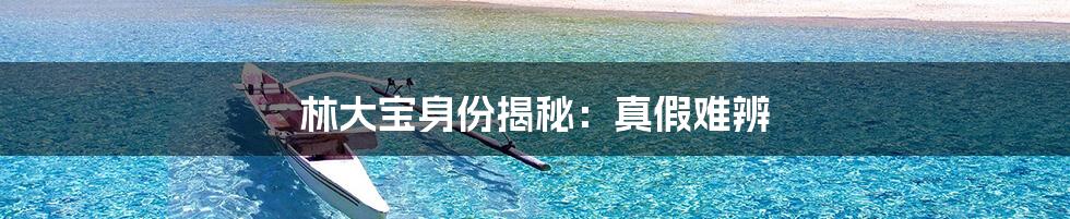 林大宝身份揭秘：真假难辨