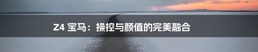 Z4 宝马：操控与颜值的完美融合