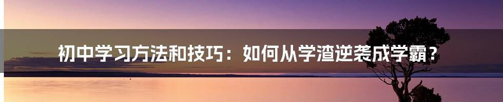 初中学习方法和技巧：如何从学渣逆袭成学霸？