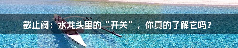 截止阀：水龙头里的“开关”，你真的了解它吗？