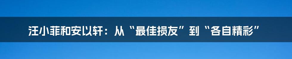 汪小菲和安以轩：从“最佳损友”到“各自精彩”