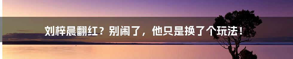 刘梓晨翻红？别闹了，他只是换了个玩法！