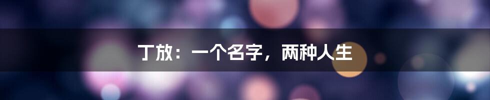 丁放：一个名字，两种人生