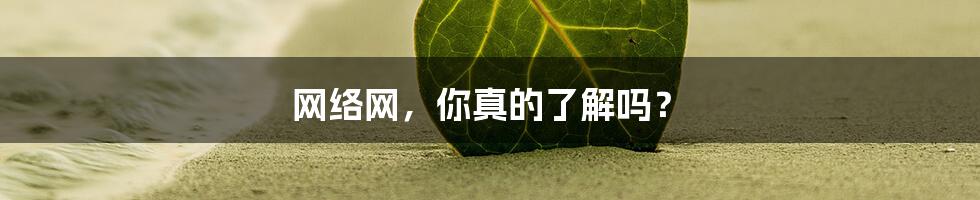 网络网，你真的了解吗？