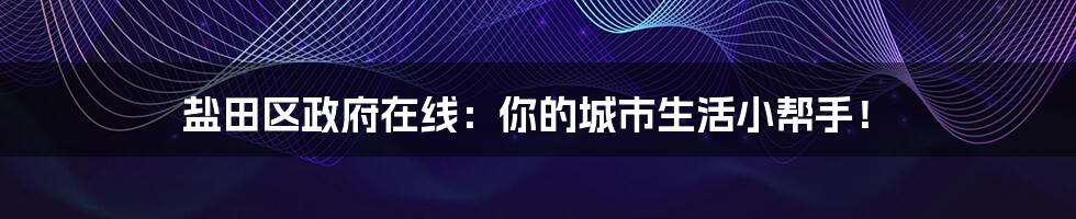 盐田区政府在线：你的城市生活小帮手！