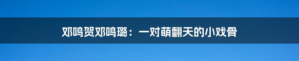 邓鸣贺邓鸣璐：一对萌翻天的小戏骨