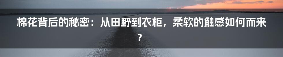 棉花背后的秘密：从田野到衣柜，柔软的触感如何而来？