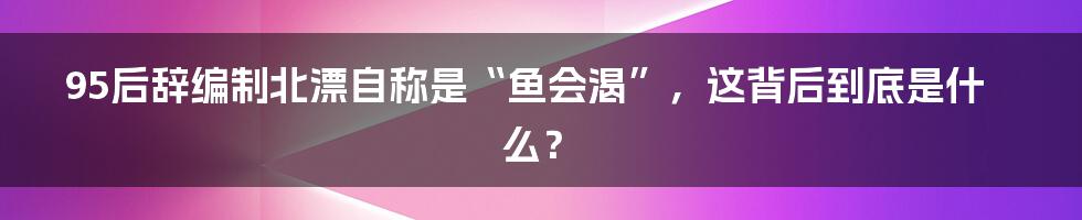 95后辞编制北漂自称是“鱼会渴”，这背后到底是什么？