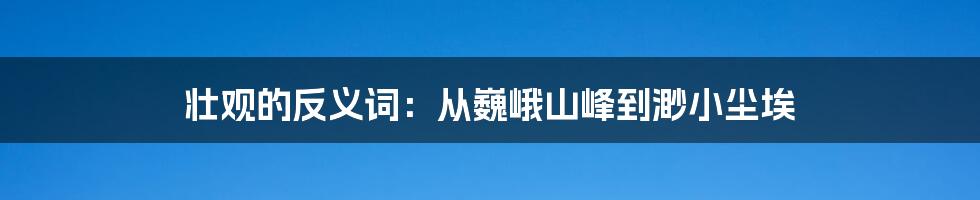 壮观的反义词：从巍峨山峰到渺小尘埃