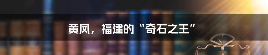 黄凤，福建的“奇石之王”