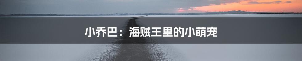 小乔巴：海贼王里的小萌宠