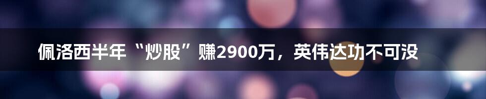 佩洛西半年“炒股”赚2900万，英伟达功不可没