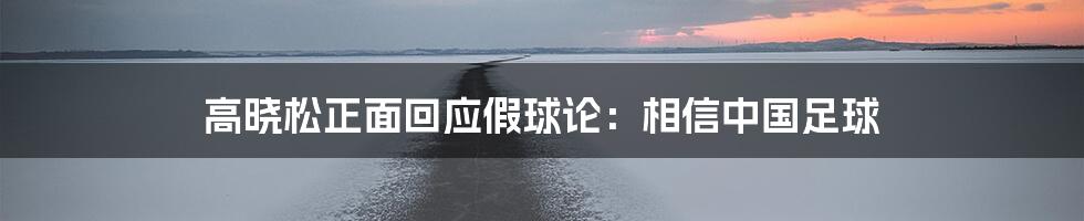 高晓松正面回应假球论：相信中国足球