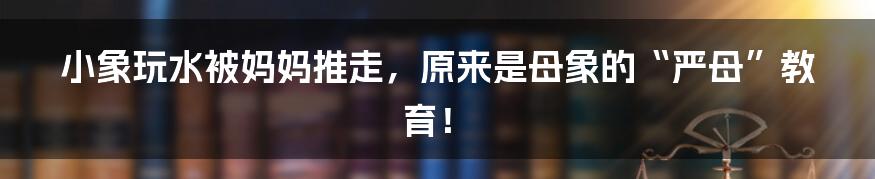 小象玩水被妈妈推走，原来是母象的“严母”教育！