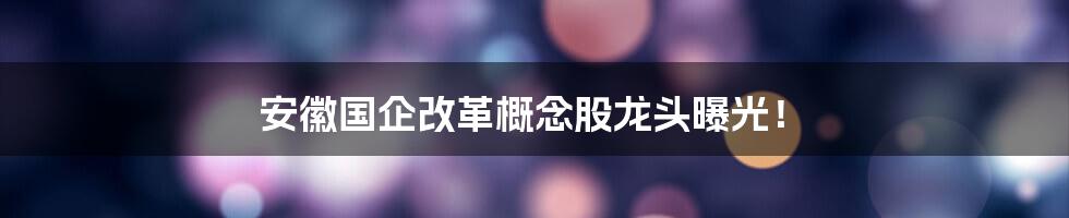 安徽国企改革概念股龙头曝光！