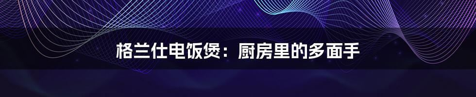 格兰仕电饭煲：厨房里的多面手