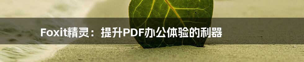 Foxit精灵：提升PDF办公体验的利器