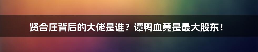 贤合庄背后的大佬是谁？谭鸭血竟是最大股东！