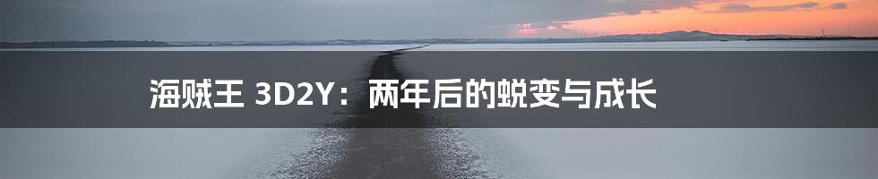 海贼王 3D2Y：两年后的蜕变与成长