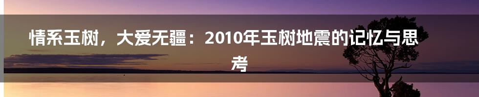 情系玉树，大爱无疆：2010年玉树地震的记忆与思考