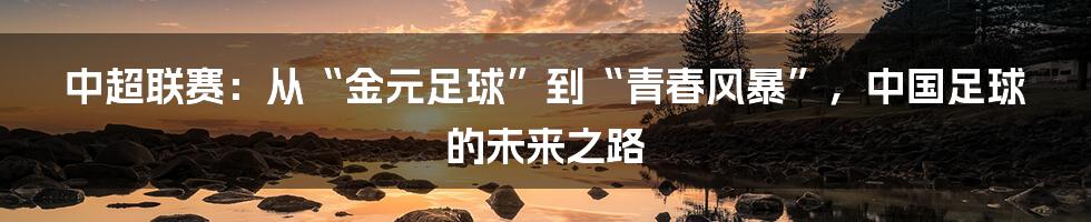 中超联赛：从“金元足球”到“青春风暴”，中国足球的未来之路