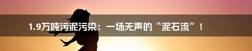 1.9万吨污泥污染：一场无声的“泥石流”！