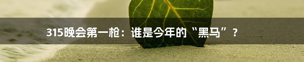 315晚会第一枪：谁是今年的“黑马”？