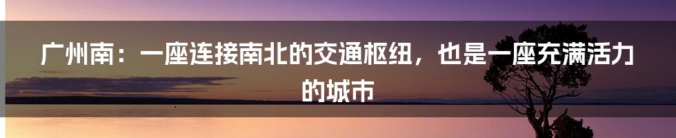 广州南：一座连接南北的交通枢纽，也是一座充满活力的城市