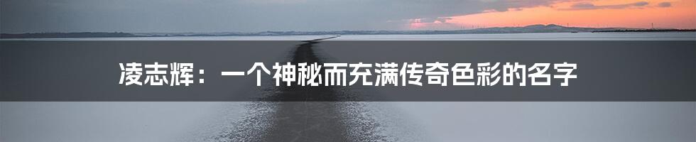 凌志辉：一个神秘而充满传奇色彩的名字